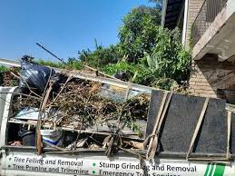 Best Property Management Cleanouts  in Milford, DE
